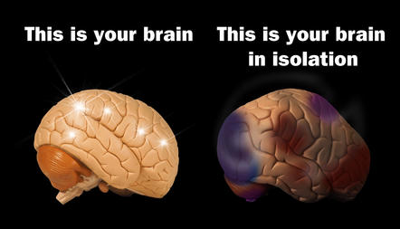 This is your brain ... This is your brain in isolation